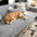 Paw Print Cute Plush Thick Sofa Decoration Non-slip Couch Cover
