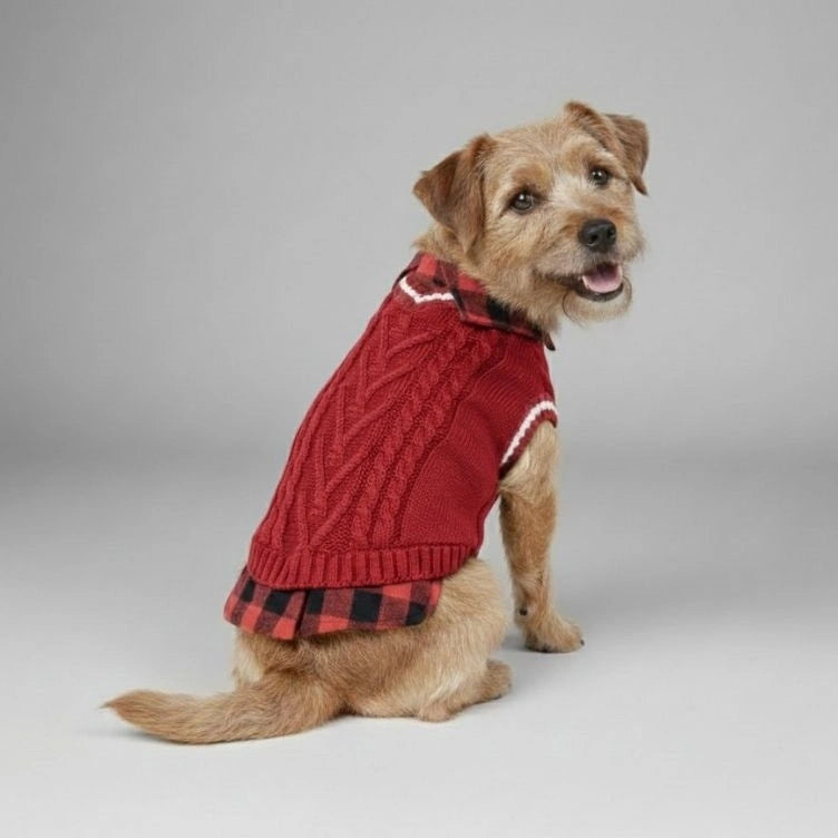Gilet pull en tricot torsadé pour chien, parfait pour l'automne et l'hiver