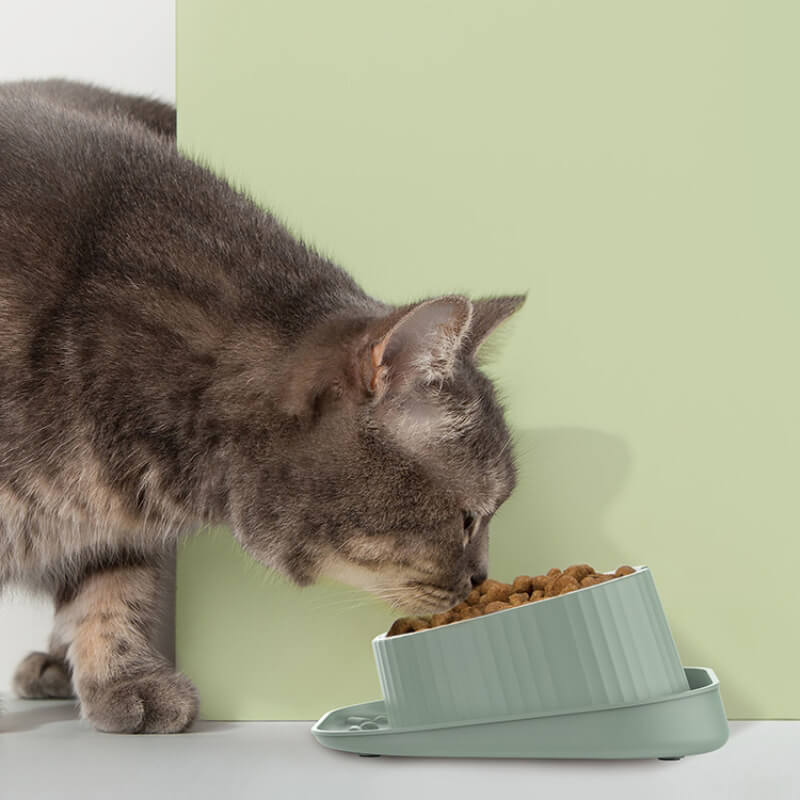 Cuenco de alimentación a prueba de derrames con protector de cuello para mascotas