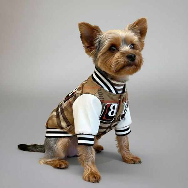 Veste de baseball à carreaux pour chien – Vêtements d'extérieur sportifs et élégants pour chiens
