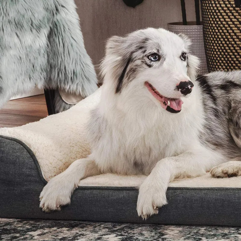 Cama ortopédica para perros de espuma viscoelástica con sofá cama para mascotas de felpa