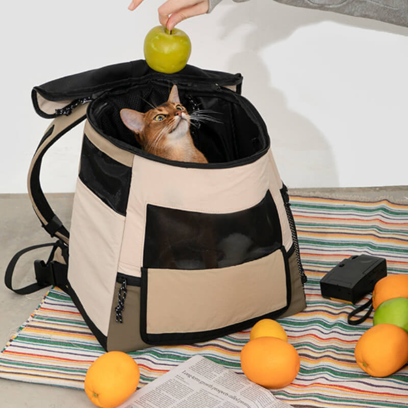 Sac de voyage portable pour animaux de compagnie en plein air, sac à dos étanche pour chat