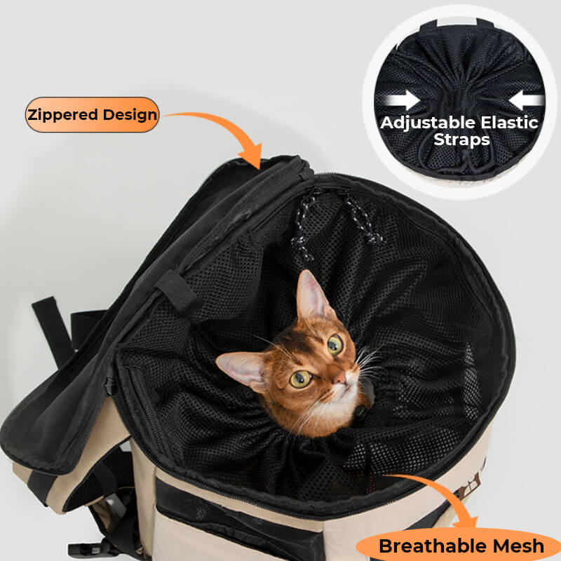 Sac de voyage portable pour animaux de compagnie en plein air, sac à dos étanche pour chat