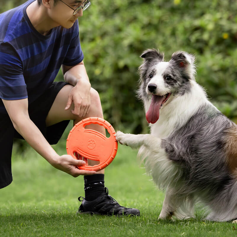 Volant en caoutchouc, jouet interactif pour chien, disque volant