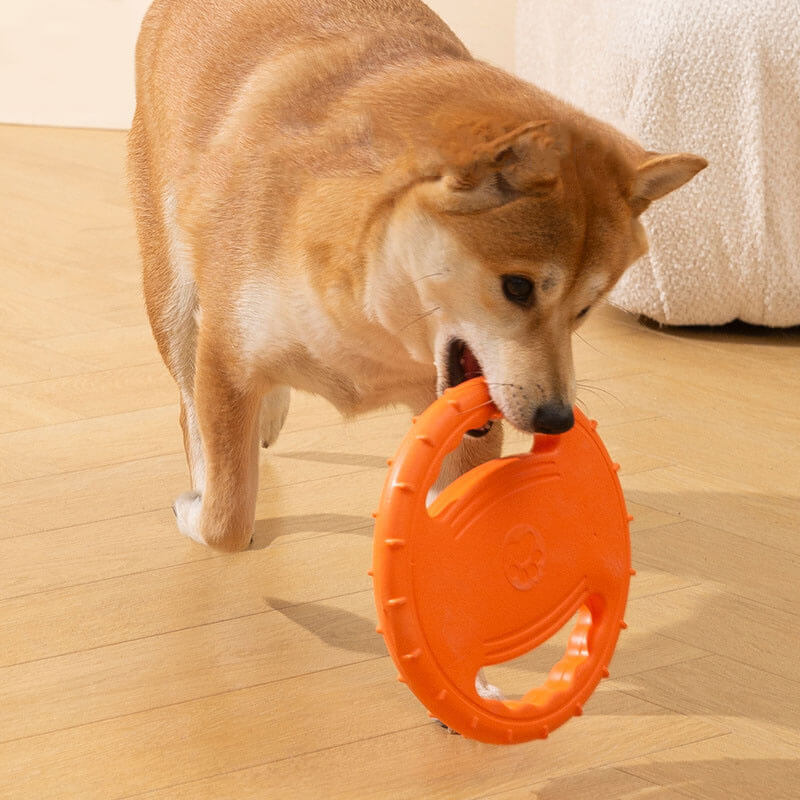 Volante de juguete de goma, disco volador interactivo para perros