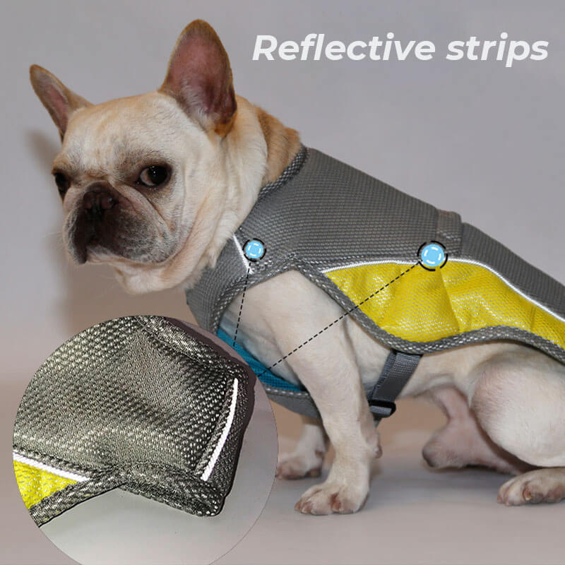 Chaleco de enfriamiento transpirable protector solar Chaqueta Cool Dog Accesorios Chaleco de enfriamiento