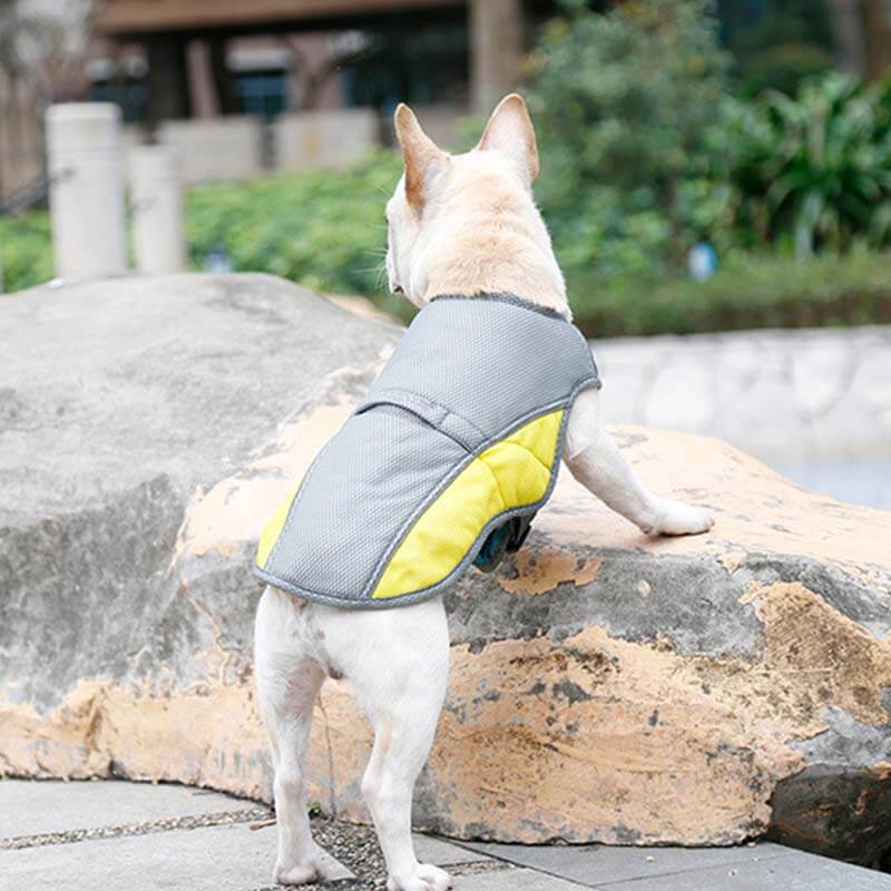 Sun Protective Breathable Cooling Vest Jacket Cool Dog Accessories Cooling Vest