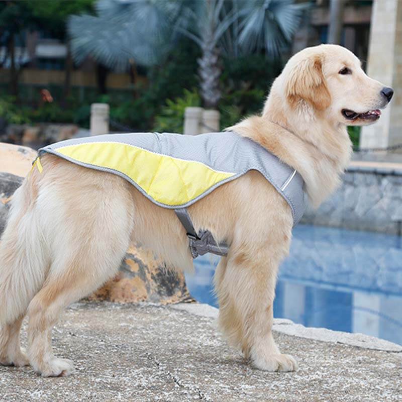 Chaleco de enfriamiento transpirable protector solar Chaqueta Cool Dog Accesorios Chaleco de enfriamiento