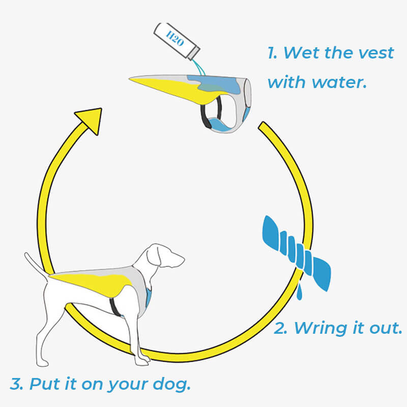 Sonnenschutz, atmungsaktive Kühlweste, Jacke, cooles Hundezubehör, Kühlweste