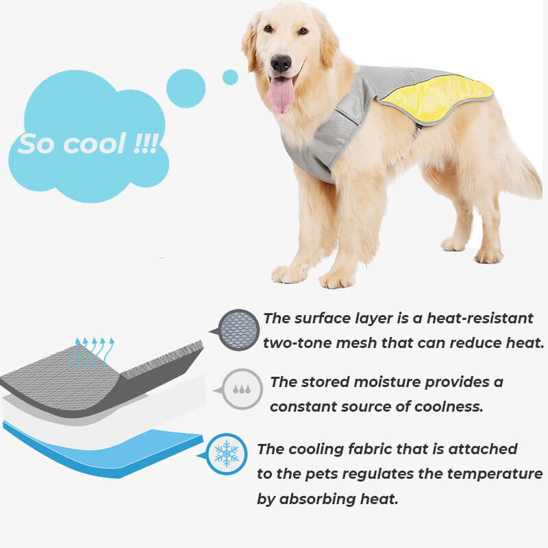 Gilet de refroidissement respirant de protection solaire, veste Cool, accessoires pour chiens, gilet de refroidissement