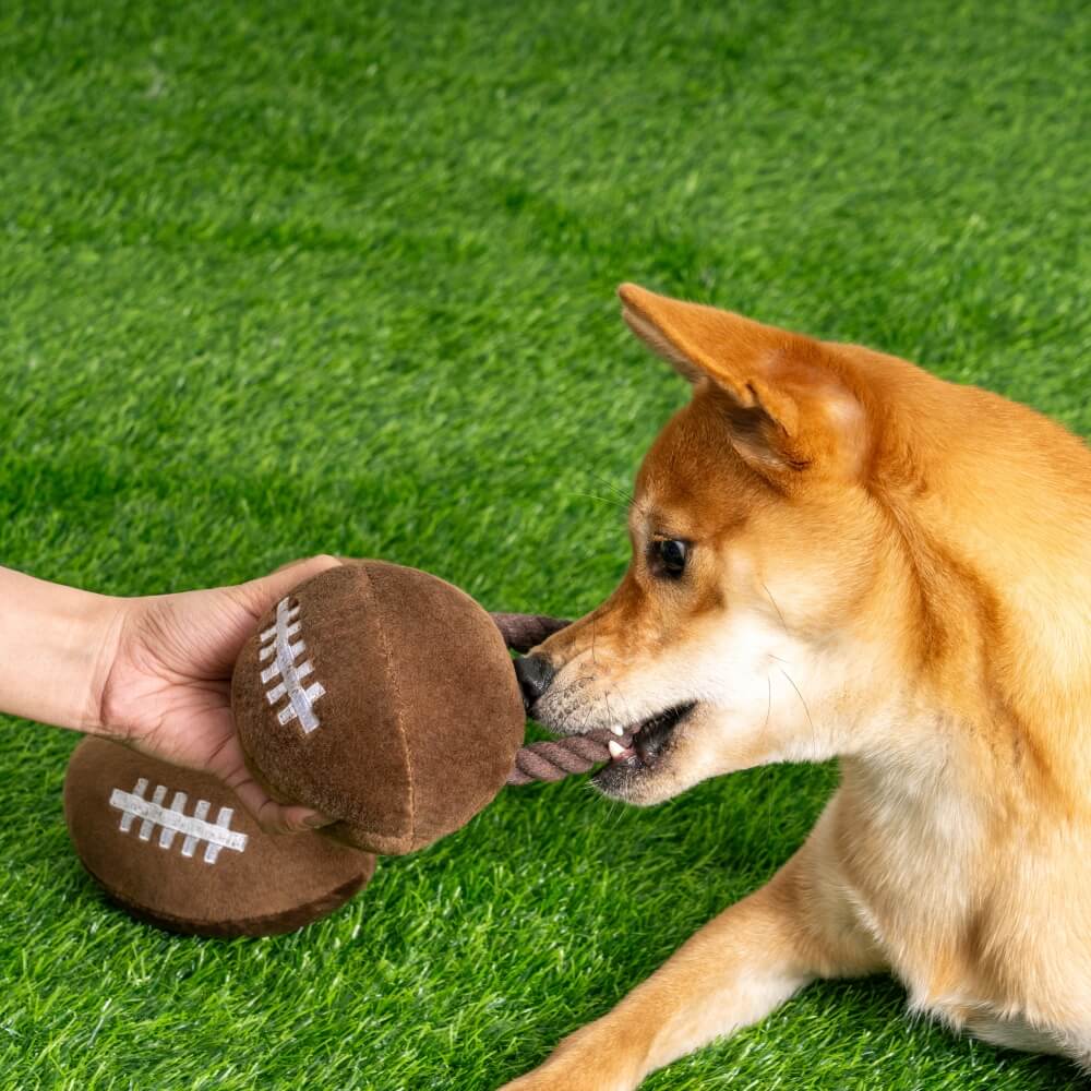 Super Bowl Peluche Rugby Football Son Jouet Chien Jouet Interactif