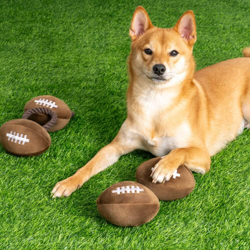 Super Bowl Plüsch-Rugby-Fußball-Sound-Spielzeug, interaktives Hundespielzeug