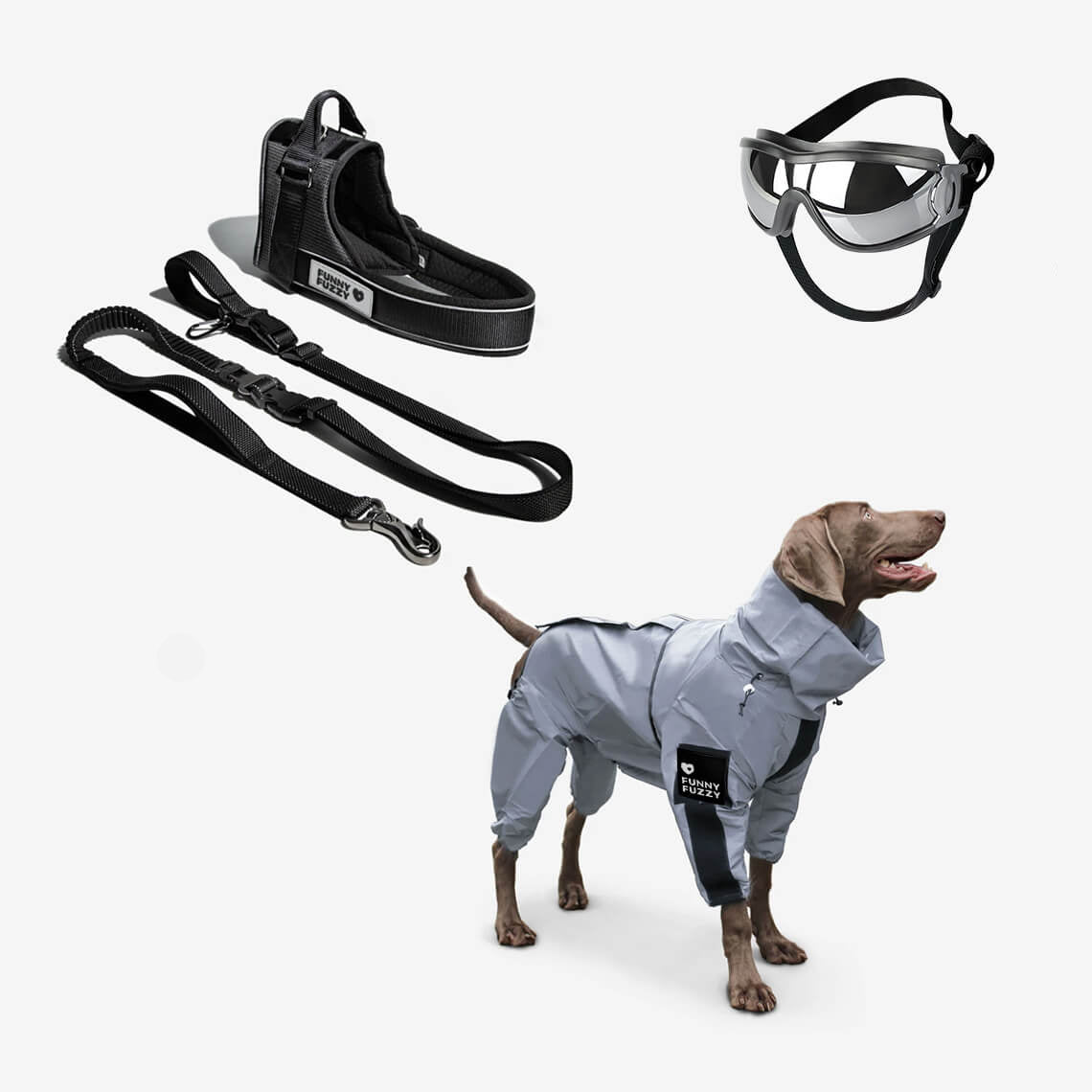 Manteau de pluie réfléchissant imperméable à l'eau pour tous les temps, accessoires pour chiens frais