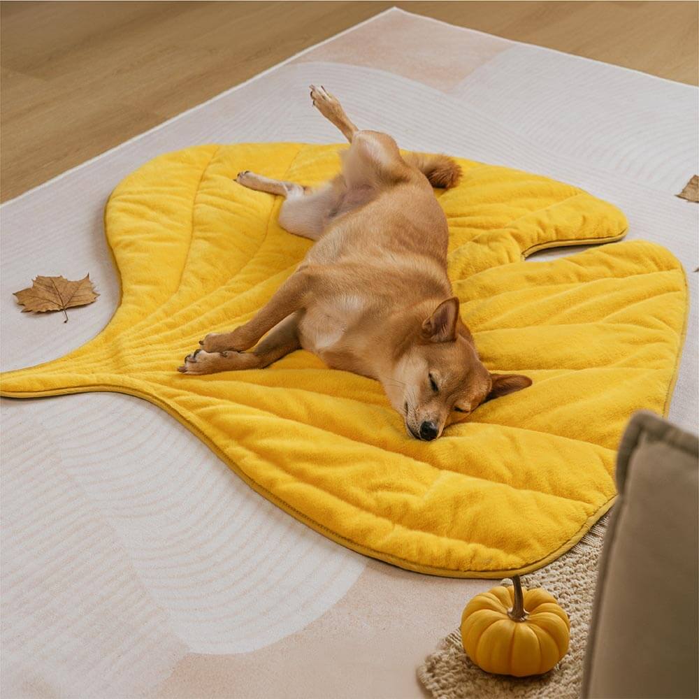 Plush Leaf-Shaped Washable Dog Mat-The Leaf Collector