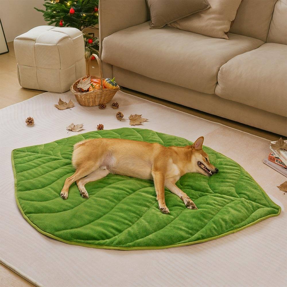 Tapis pour chien lavable en forme de feuille en peluche - Le collecteur de feuilles