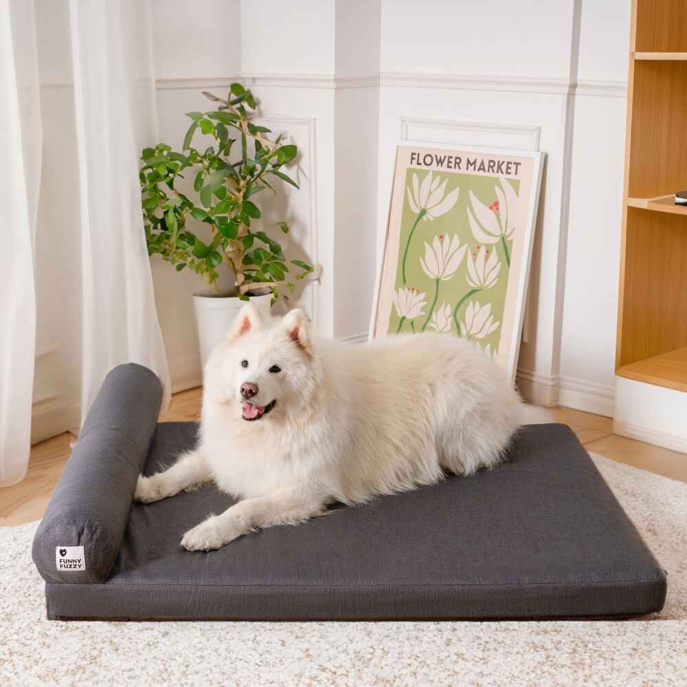 Thick Removable Orthopedic Waterproof Dog Bed