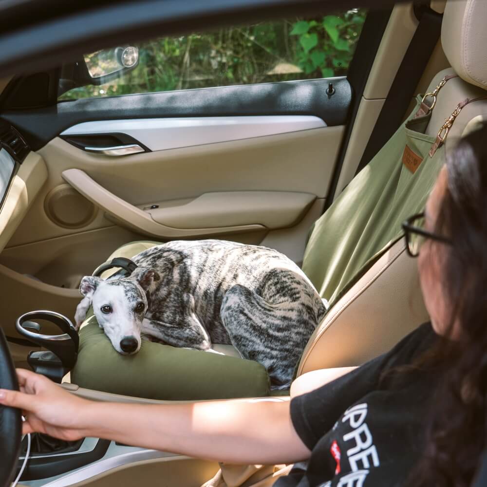 Cojín de viaje Asiento trasero de seguridad Cama grande para asiento de automóvil para perros - Salón de tablero de ajedrez