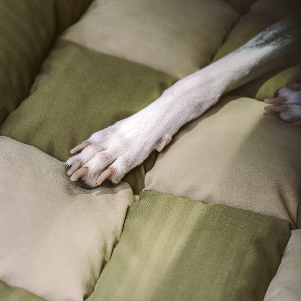 Cojín de viaje Asiento trasero de seguridad Cama grande para asiento de automóvil para perros - Salón de tablero de ajedrez