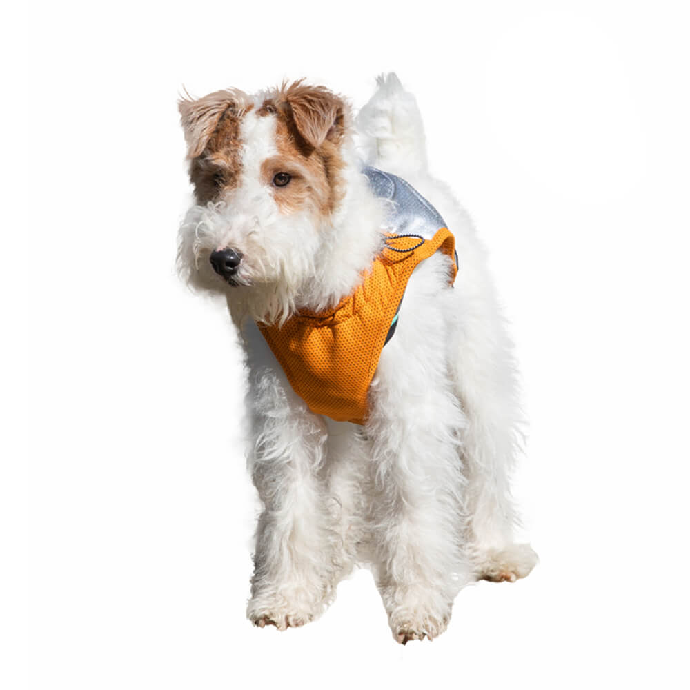 UV Sun Protection Lightweight Dog Cooling Vest