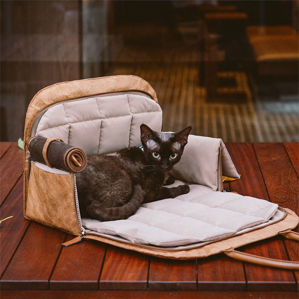 Vogue Eco-friendly Multi-functional Cat Carrier - City Roamer