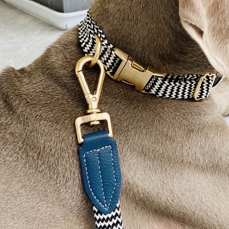 Vogue Zebra Print Neck Guard Collier pour chien Ensemble de promenade pour chien