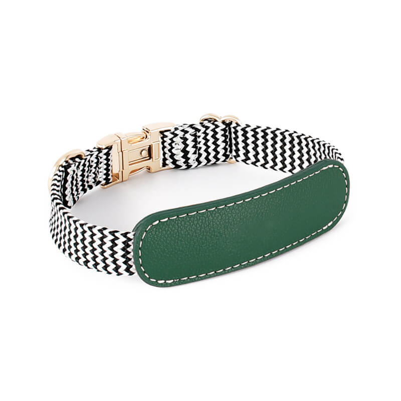 Vogue Zebra Print Neck Guard Collier pour chien Ensemble de promenade pour chien