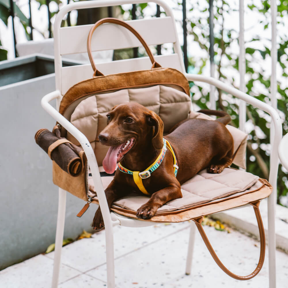 Bolsa de viaje para mascotas multifuncional y ecológica de Vogue - City Roamer