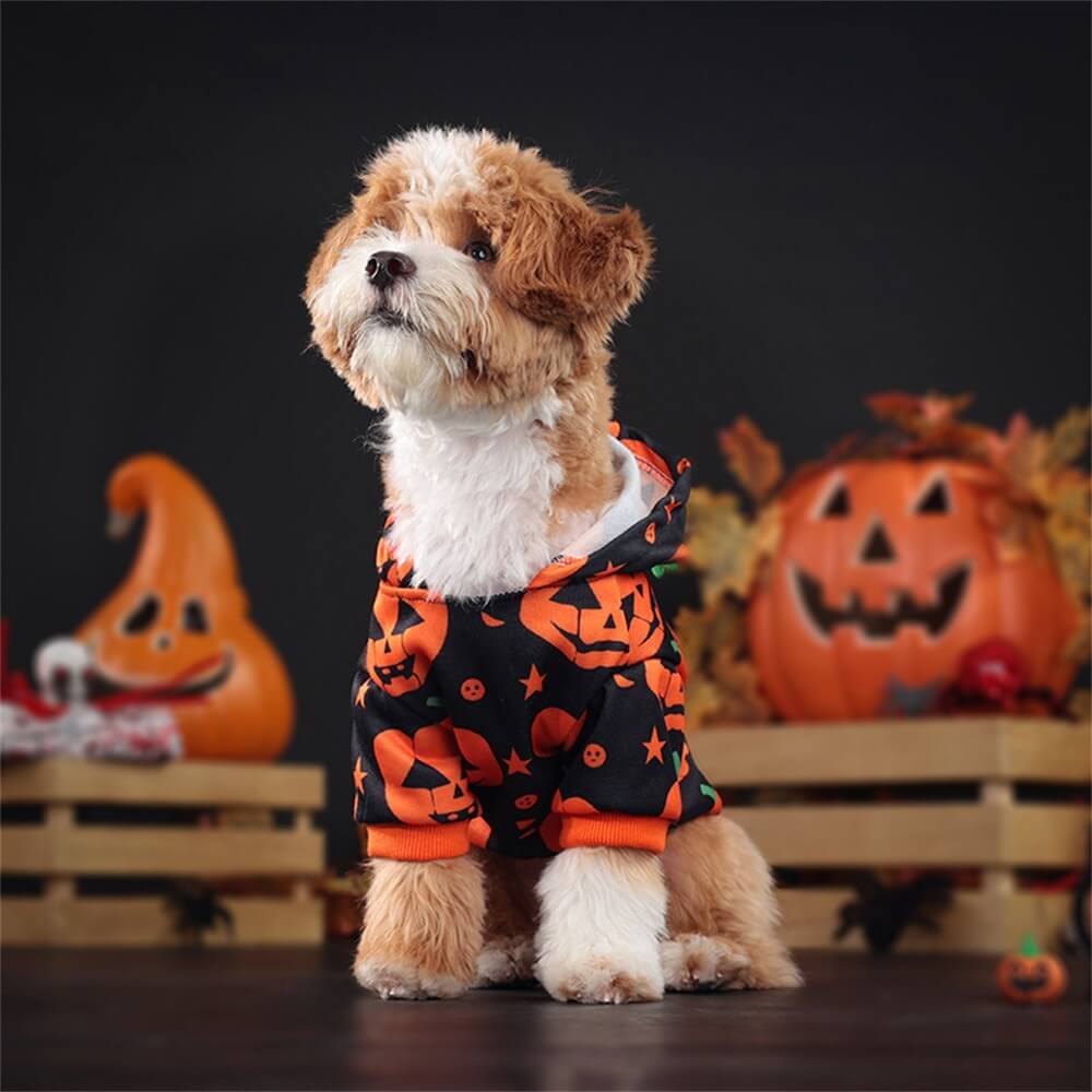 Halloween Pumpkin Print Hooded Sweatshirt for Pets