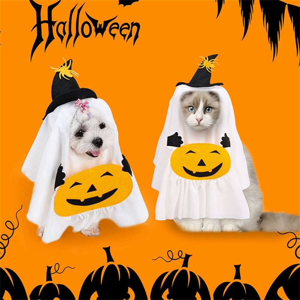 Disfraz creativo de calabaza fantasma de Halloween para perros