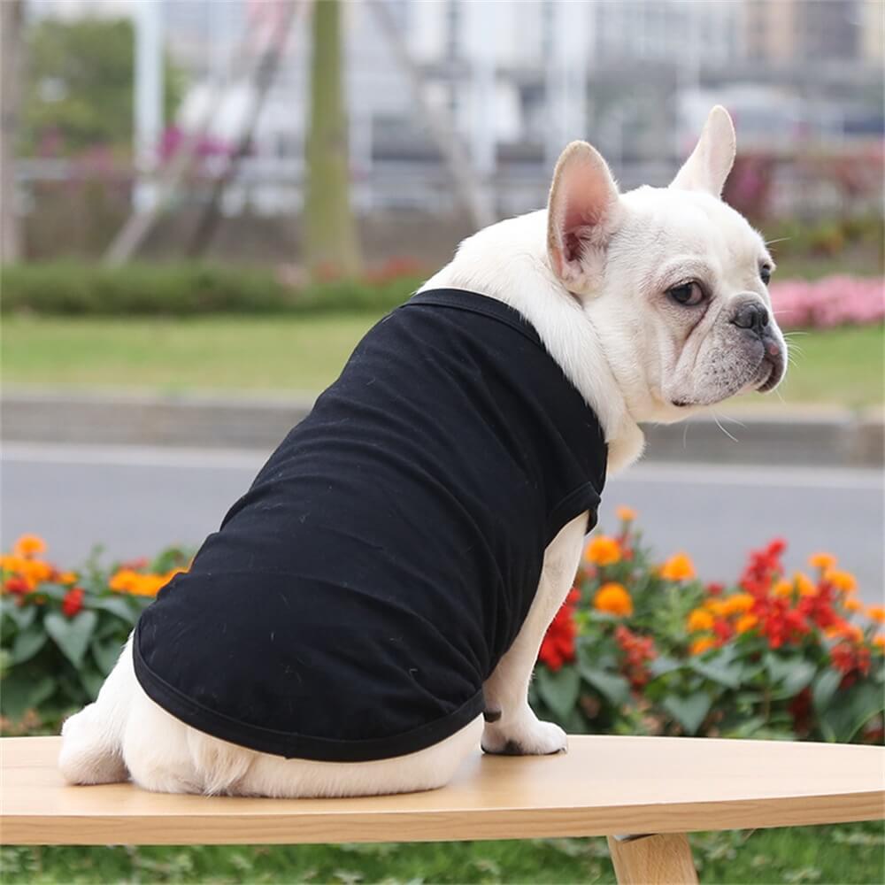 Chaleco básico de algodón de color sólido Ropa para mascotas