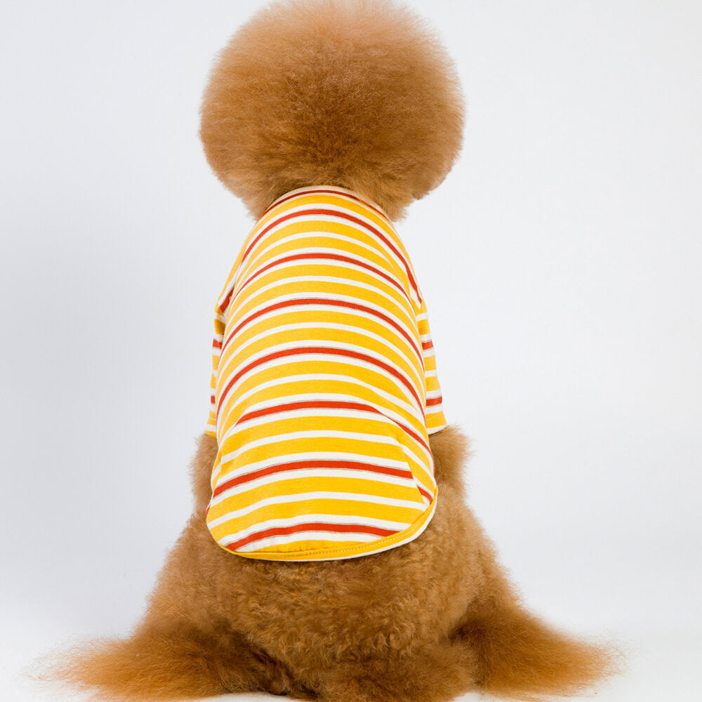 Ropa colorida del perro del animal doméstico de las dos piernas de la moda rayada colorida del verano