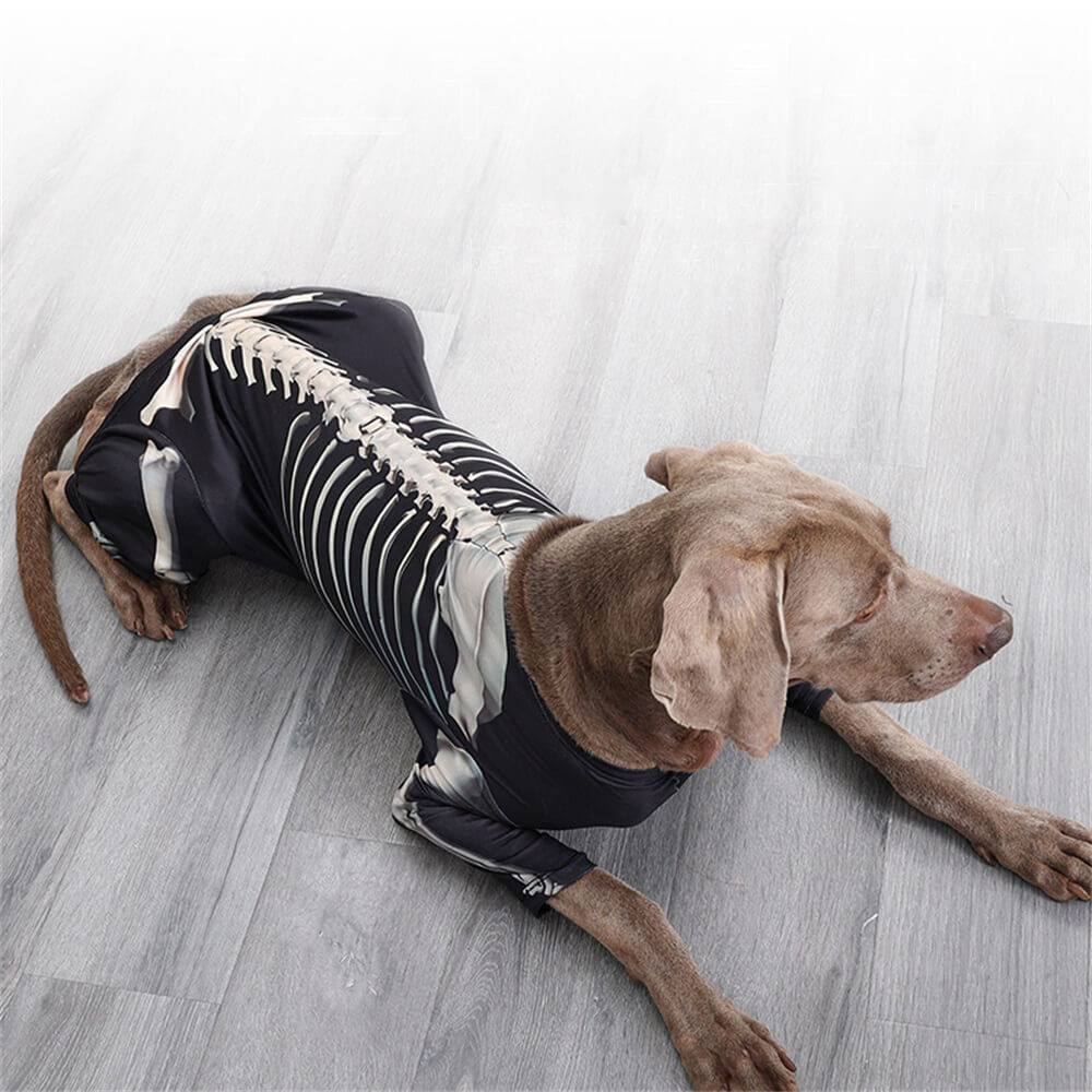 Elastic Skeleton Halloween Costume for Big Dogs