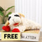 Plush Lamb Squeaker Toy Dog Interactive Toys