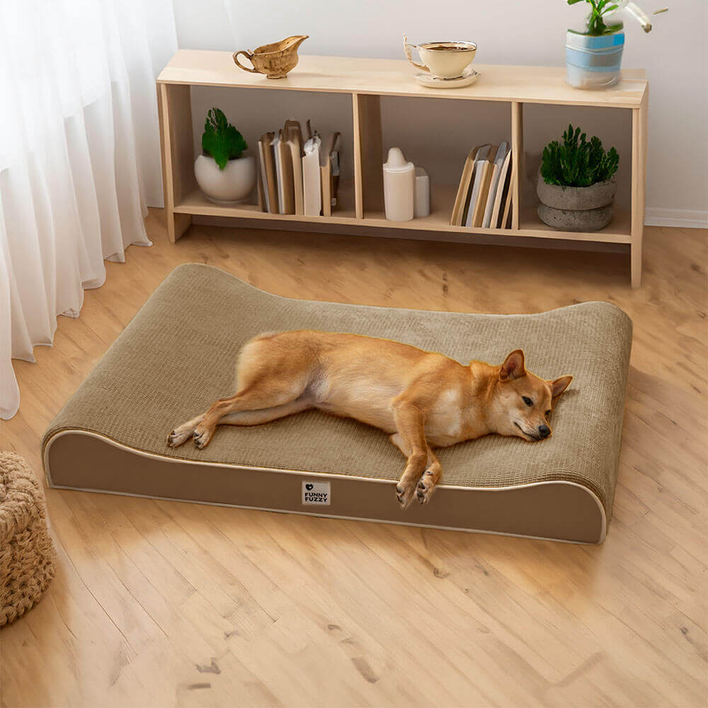 Luxuriöser Nobility Dog Lounge Chair, orthopädisches Hundebett