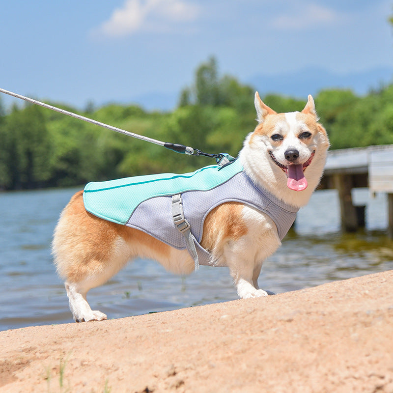 Gilet respirant pour la prévention des insolations, gilet de refroidissement pour chien imbibable dans l'eau