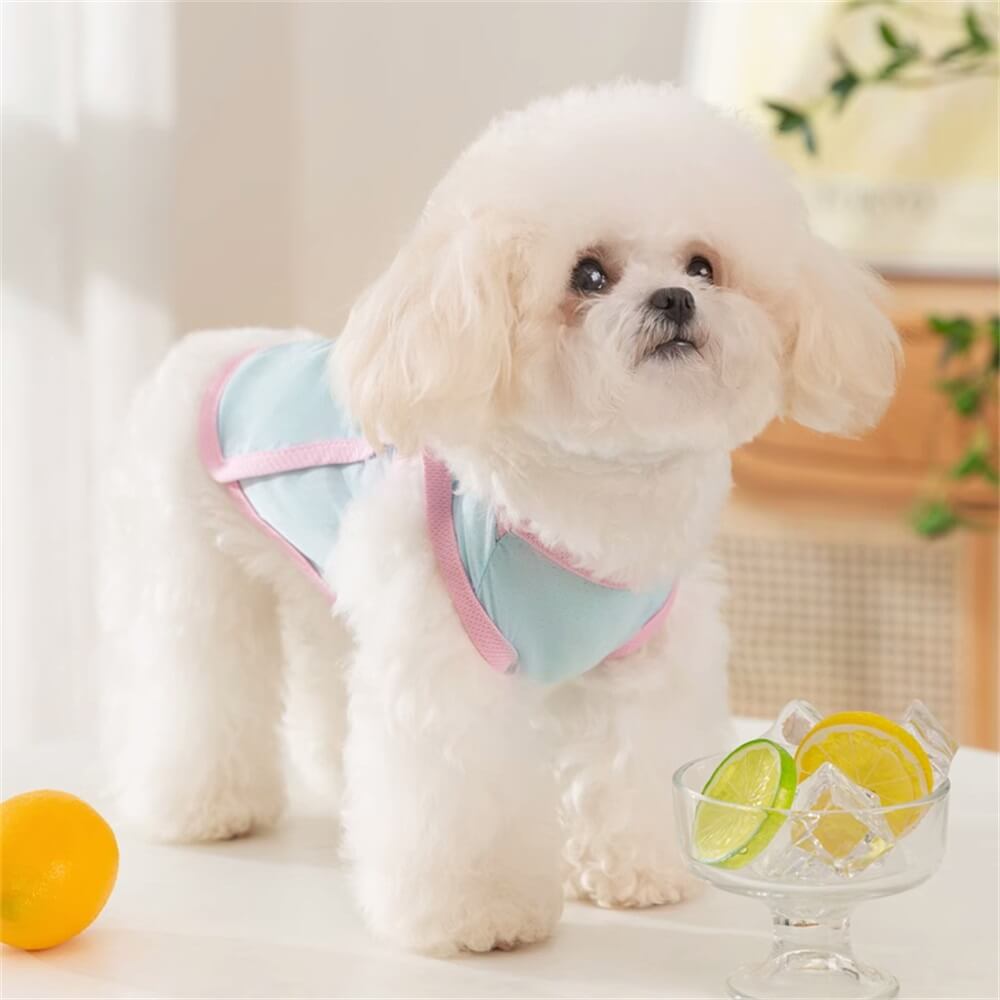 Chaleco con arnés para perros en colores pastel transpirable: cómodo y elegante para el uso diario