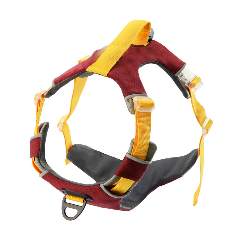 Pet Contrast Color Chest Harness and Dog Traction Rope - Explosion-Proof Vest Style