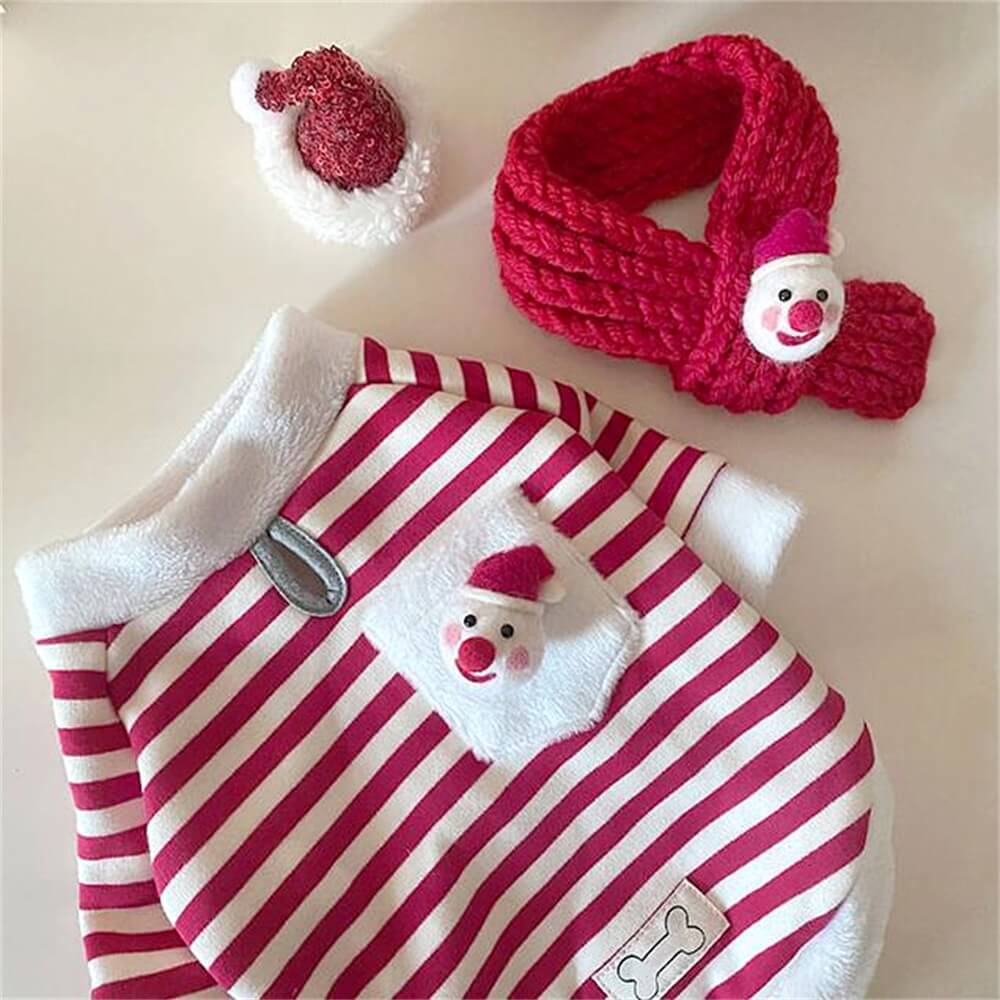 Cozy Striped Dog Sweater with Matching Scarf - Perfect for Winter Walks