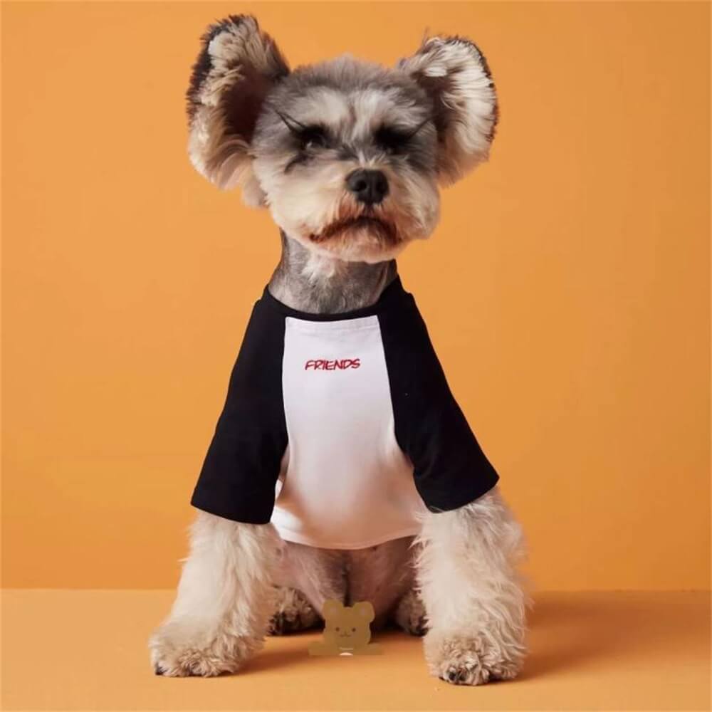 Ropa para perros, camiseta a juego de colores a la moda con bordado