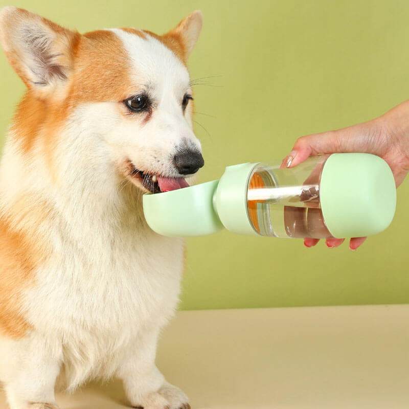 Bouteille d'eau portable pour chien d'extérieur 2 en 1