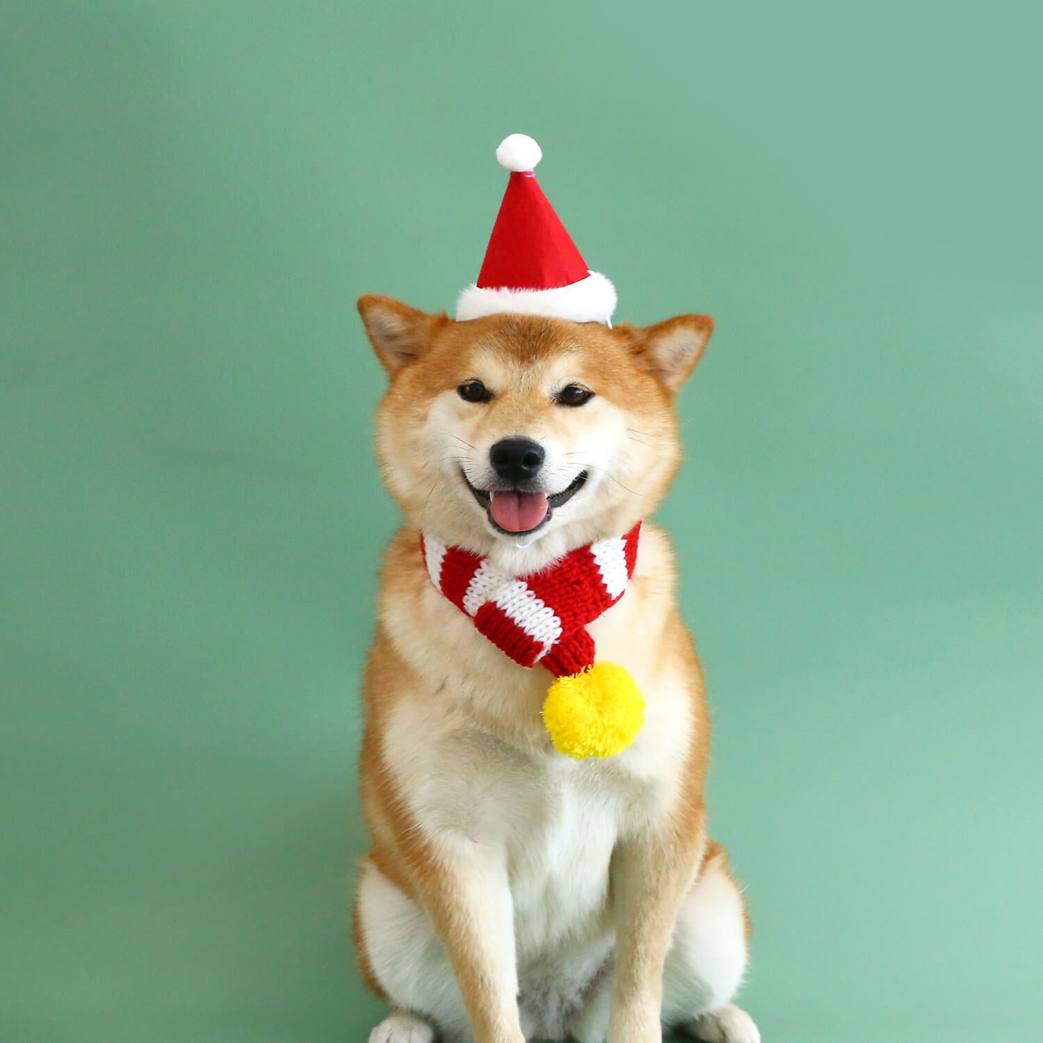 Ensemble de jeu pour chien amusant de Noël avec chapeau, écharpe et jouet