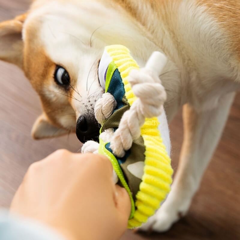 Baumwollseil-Pantoffel-Spielzeug, Hunde-Beißspielzeug