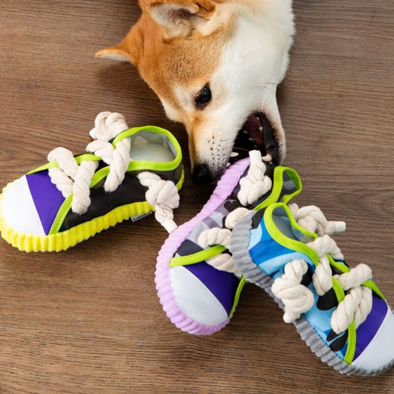 Juguete de dentición para perros con zapatilla de cuerda de algodón