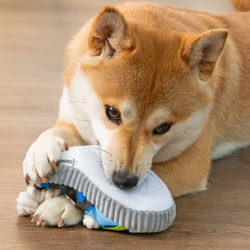 Jouet de dentition pour chien, pantoufles en corde de coton