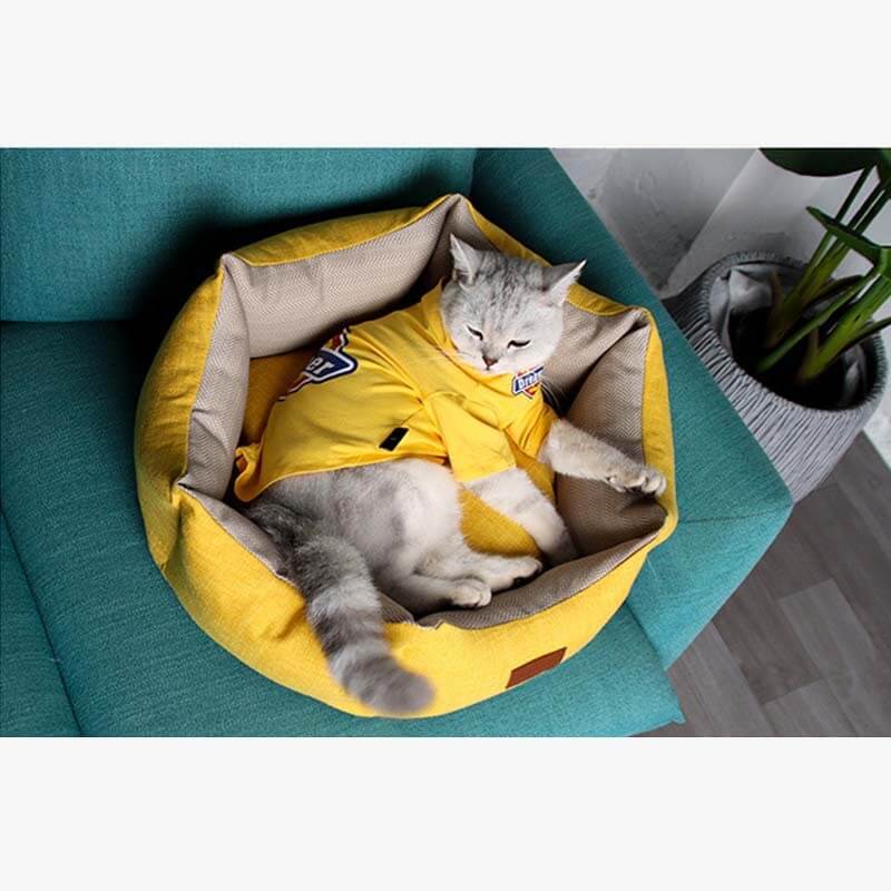 Cama para mascotas con forma de corona Cama acogedora para perros y gatos