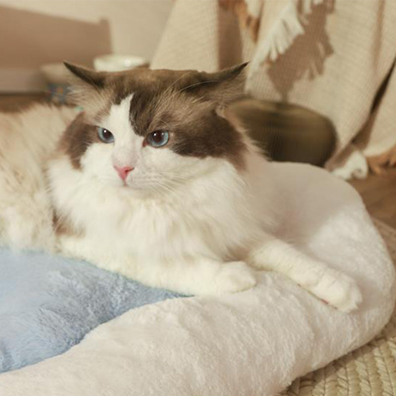 Linda cama con cojín para perros y gatos peludos