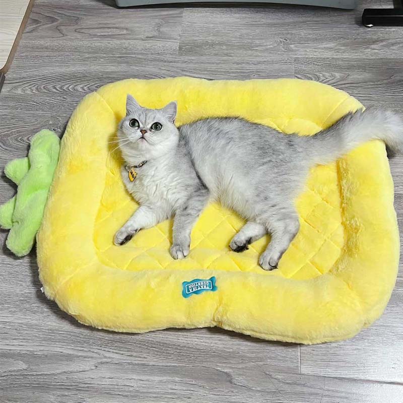 Lit coussin mignon pour chat et chien à fourrure