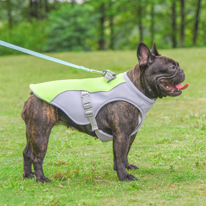 Chaleco transpirable para la prevención de insolaciones Chaleco de enfriamiento para perros empapado en agua