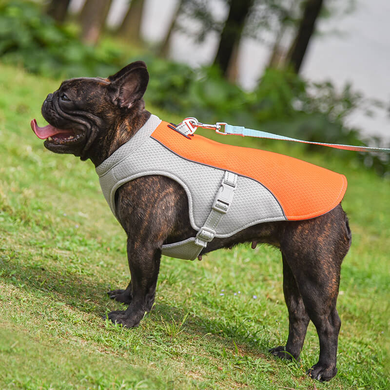 Gilet respirant pour la prévention des insolations, gilet de refroidissement pour chien imbibable dans l'eau