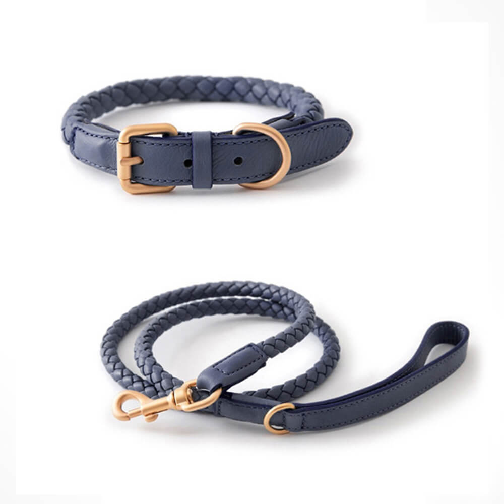 Collier et laisse pour chiot en faux cuir tissé à la main, ensemble de promenade pour chien